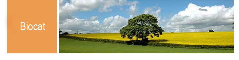 Banner Biography